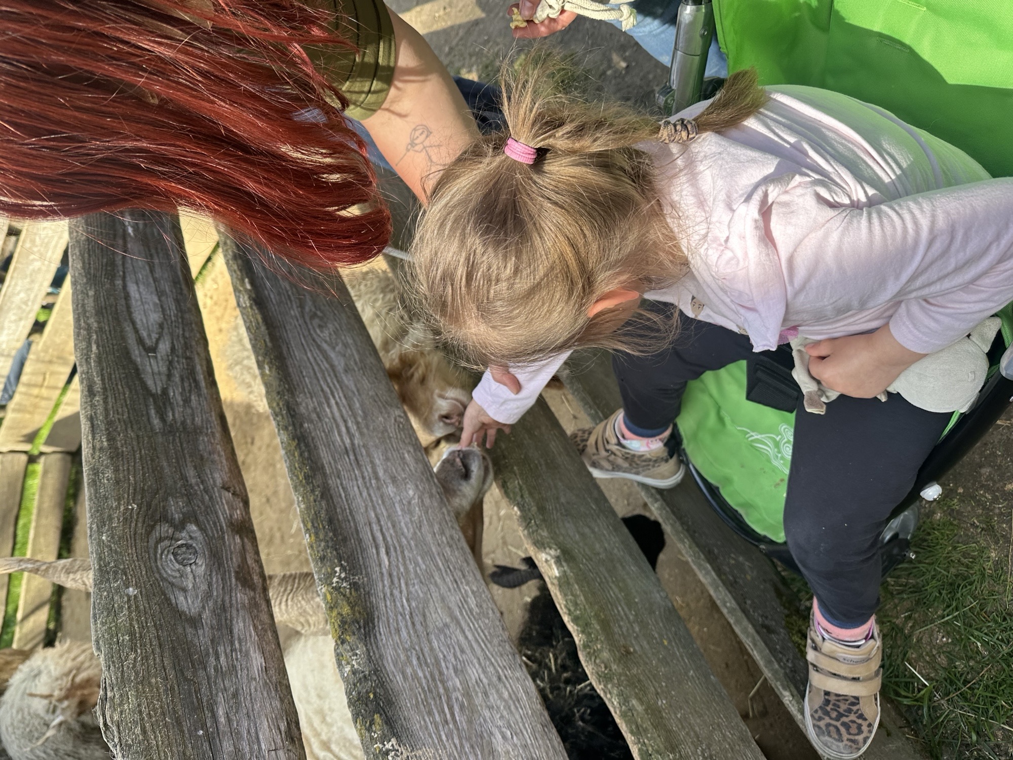 Ein kleines Mädchen sitzt auf einem grünen Klappstuhl an einem Holzzaun. Neben ihr steht eine Betreuerin. Das Mädchen und die Frau halten ihre Hände an eine Öffnung im Zaun. Auf der anderen Seite erkennt man die Schnauzen von Schafen, die daran schnuppern.